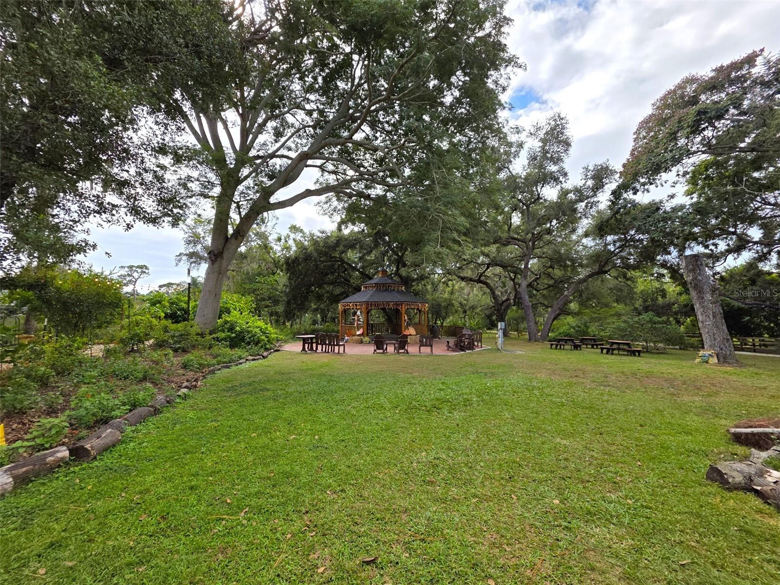 915 WOODBRIDGE CT, SAFETY HARBOR, FL, 34695