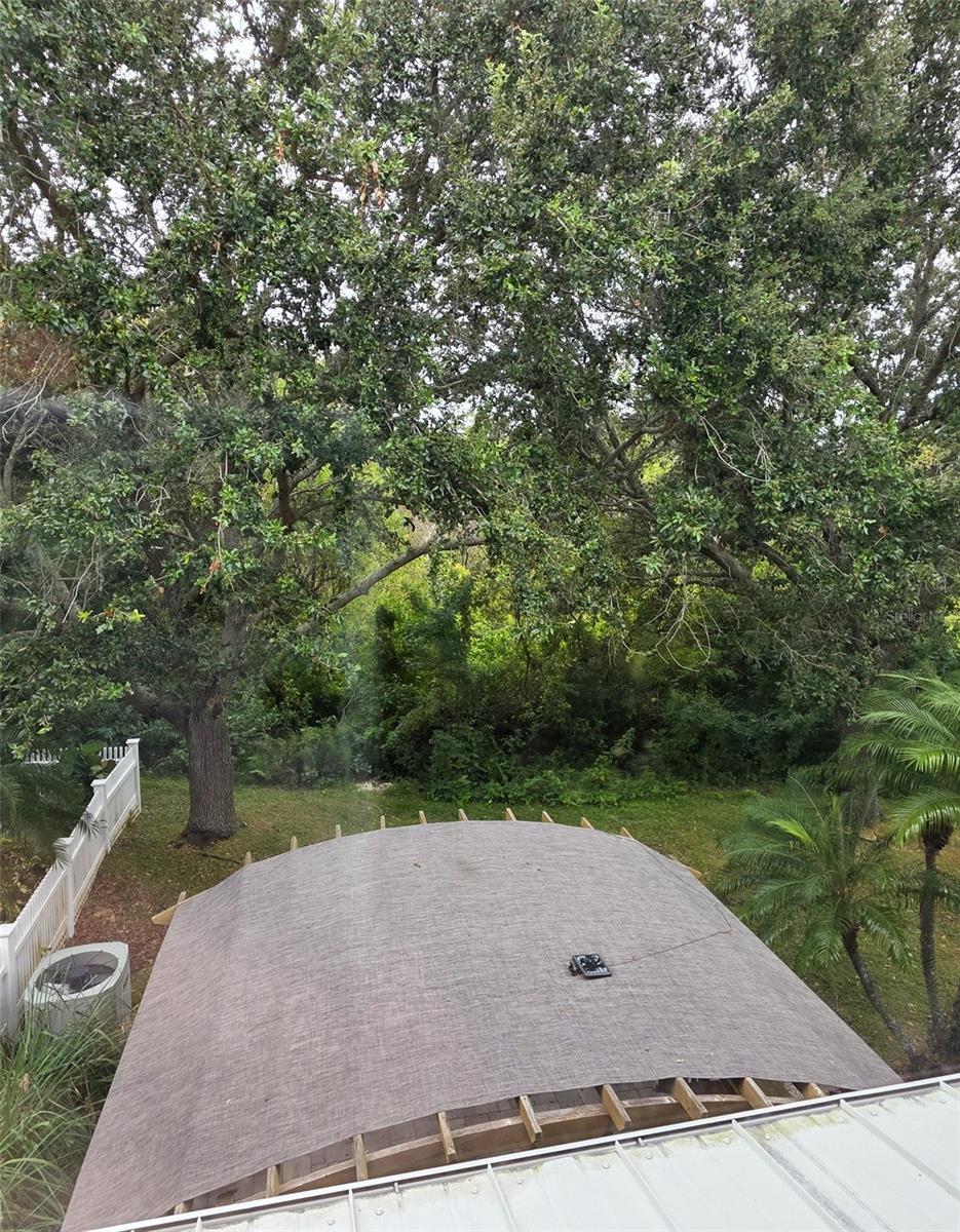 915 WOODBRIDGE CT, SAFETY HARBOR, FL, 34695