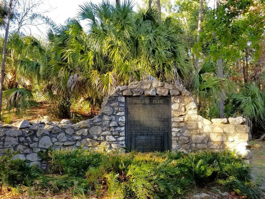 915 WOODBRIDGE CT, SAFETY HARBOR, FL, 34695