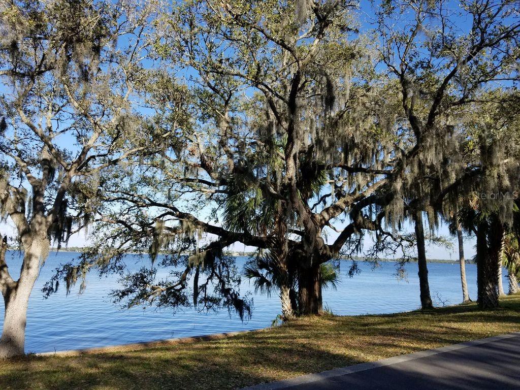 915 WOODBRIDGE CT, SAFETY HARBOR, FL, 34695