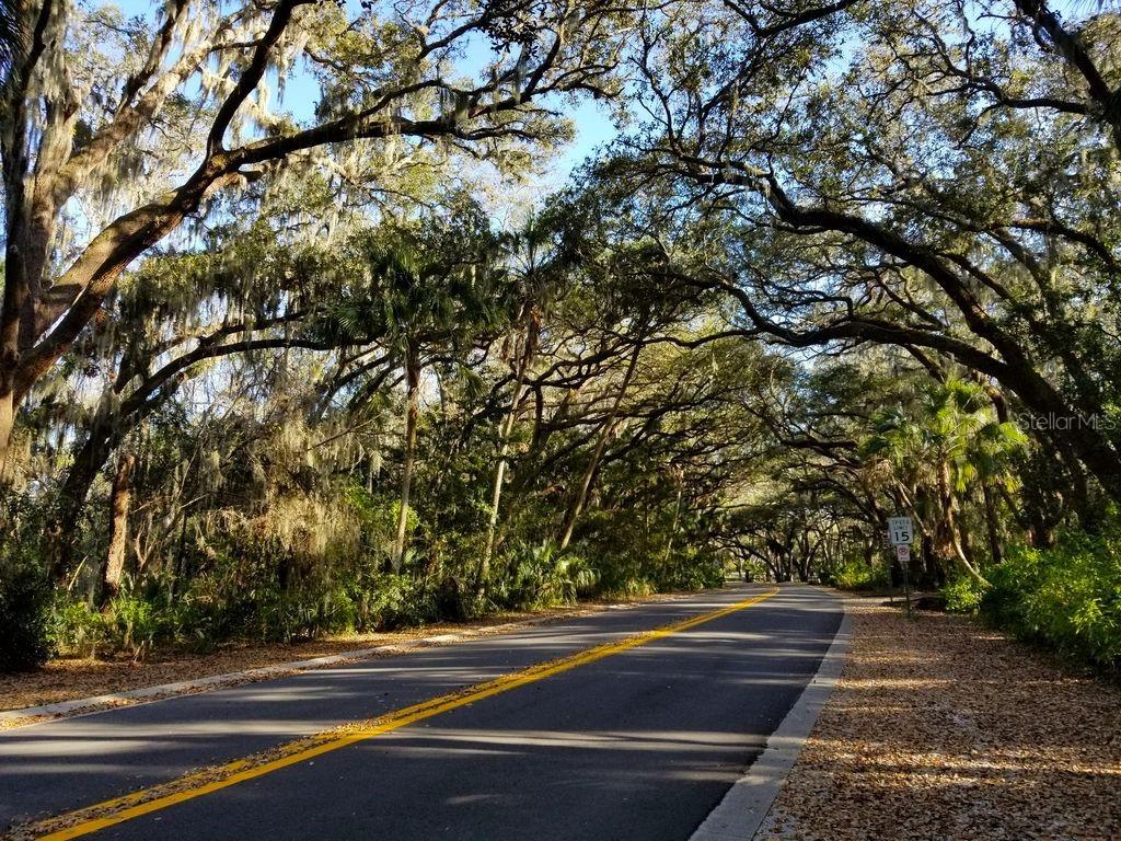 915 WOODBRIDGE CT, SAFETY HARBOR, FL, 34695