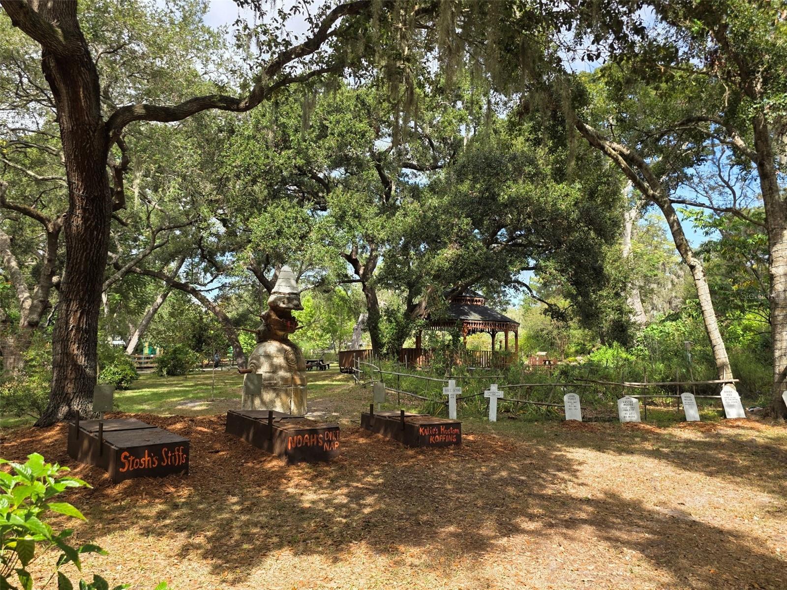 915 WOODBRIDGE CT, SAFETY HARBOR, FL, 34695