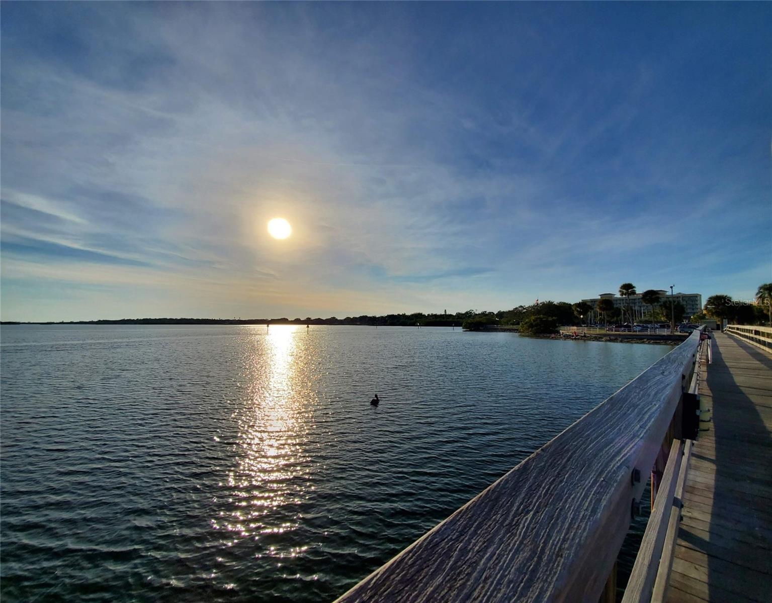 915 WOODBRIDGE CT, SAFETY HARBOR, FL, 34695