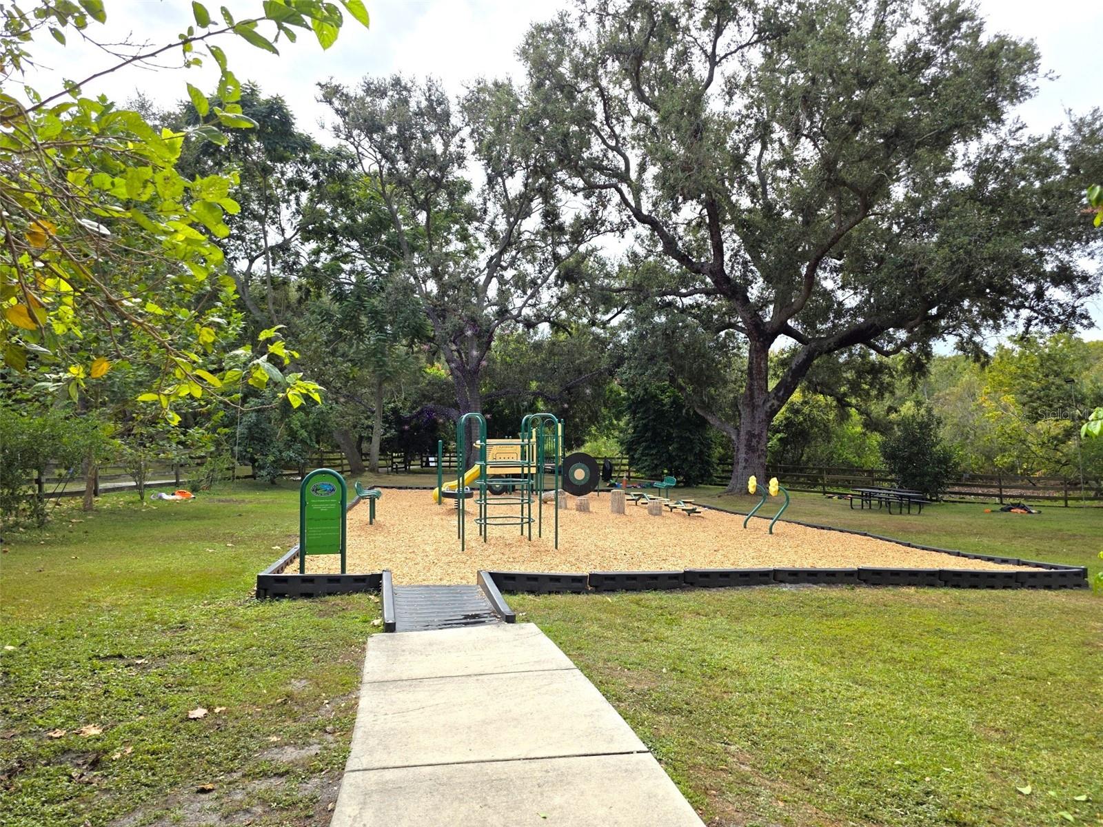 915 WOODBRIDGE CT, SAFETY HARBOR, FL, 34695