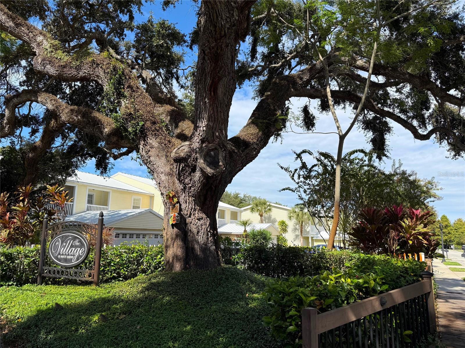 915 WOODBRIDGE CT, SAFETY HARBOR, FL, 34695