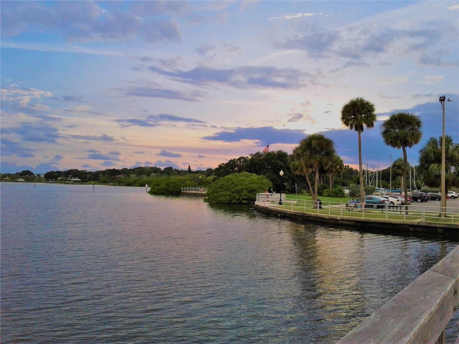 915 WOODBRIDGE CT, SAFETY HARBOR, FL, 34695