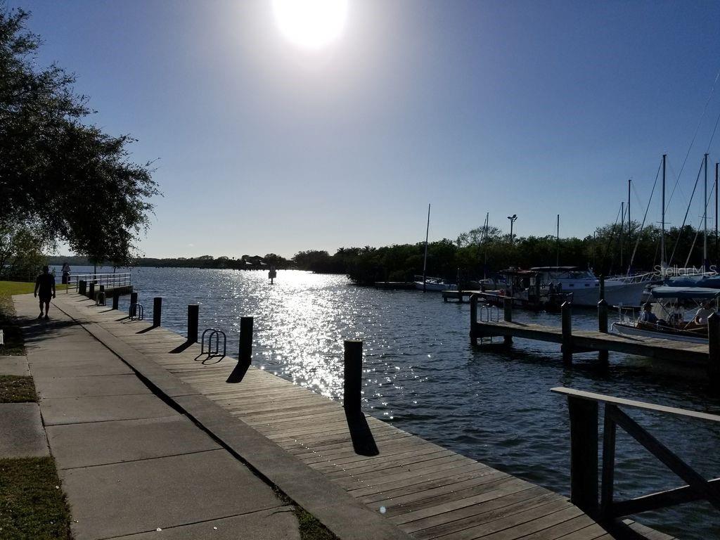 915 WOODBRIDGE CT, SAFETY HARBOR, FL, 34695