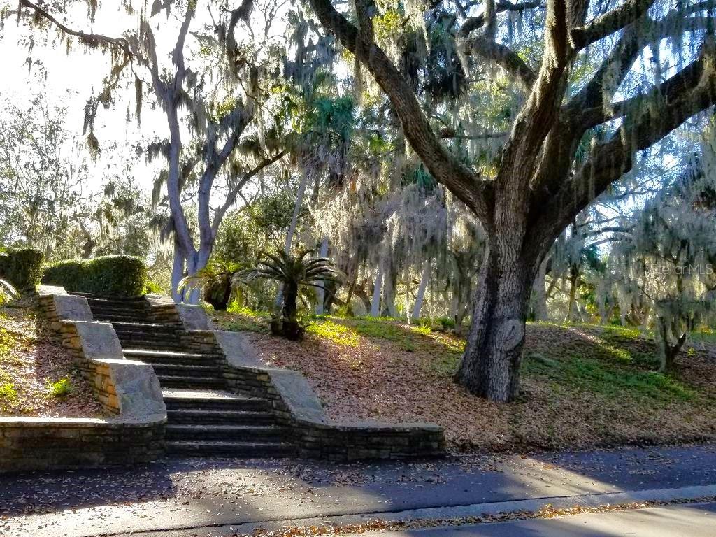 915 WOODBRIDGE CT, SAFETY HARBOR, FL, 34695