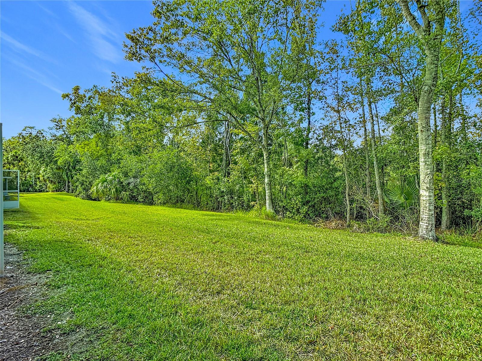 Back Yard and Woods Behind Townhouse
