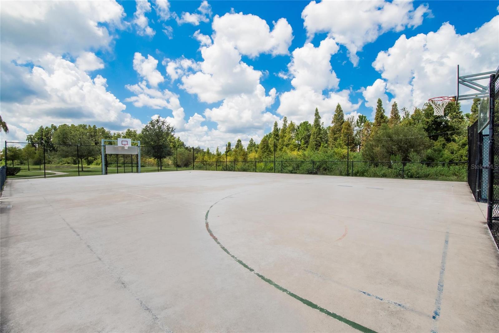 1298 COLT CREEK PL, WESLEY CHAPEL, FL, 33543