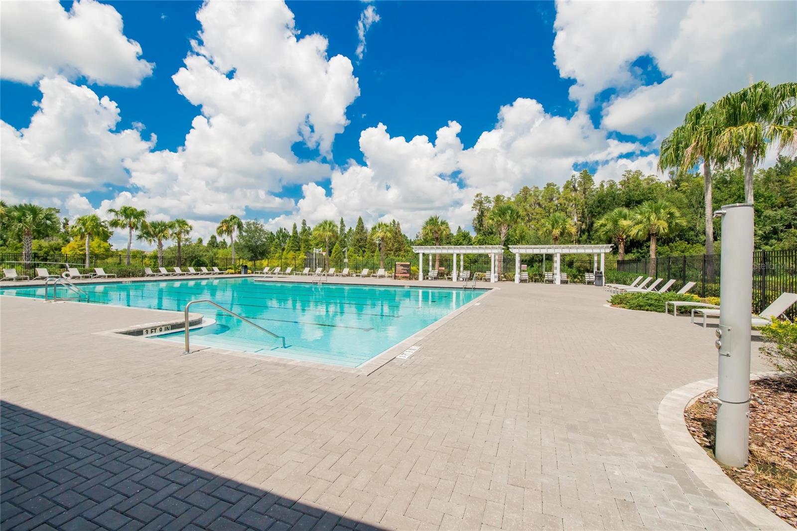 1298 COLT CREEK PL, WESLEY CHAPEL, FL, 33543