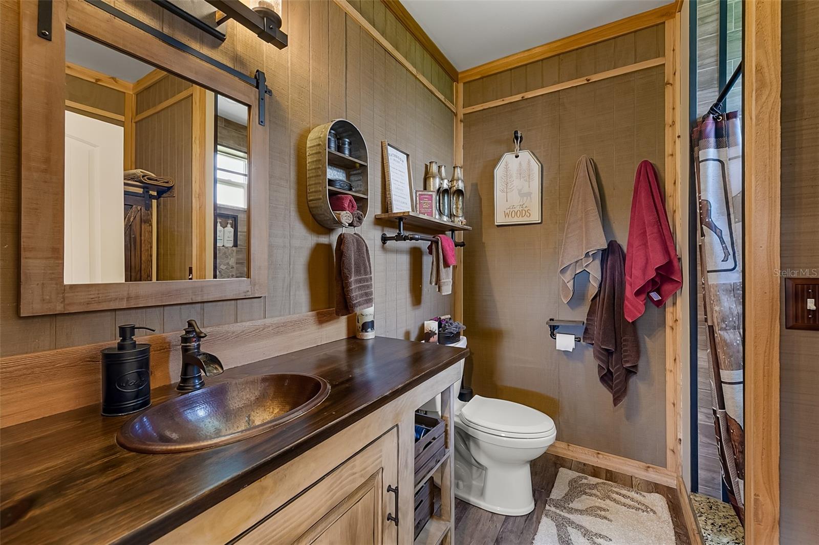 620 WILLOW POND LN, OSTEEN, FL, 32764