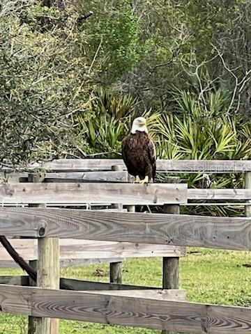 620 WILLOW POND LN, OSTEEN, FL, 32764