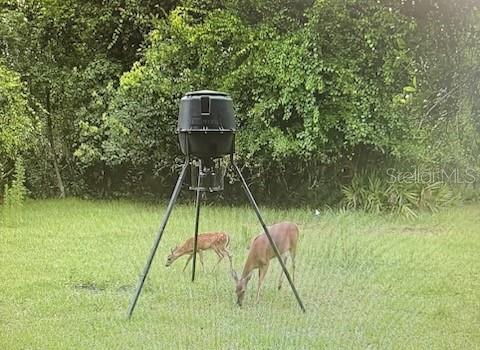 620 WILLOW POND LN, OSTEEN, FL, 32764