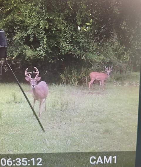 620 WILLOW POND LN, OSTEEN, FL, 32764