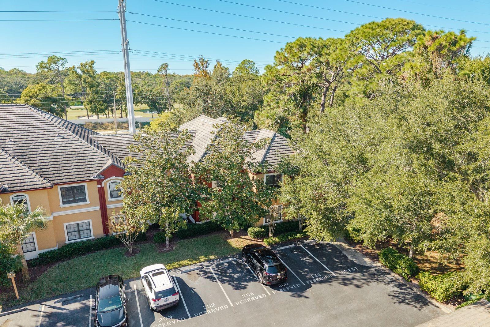 2107 PORTOFINO PL ##30-3025, PALM HARBOR, FL, 34683