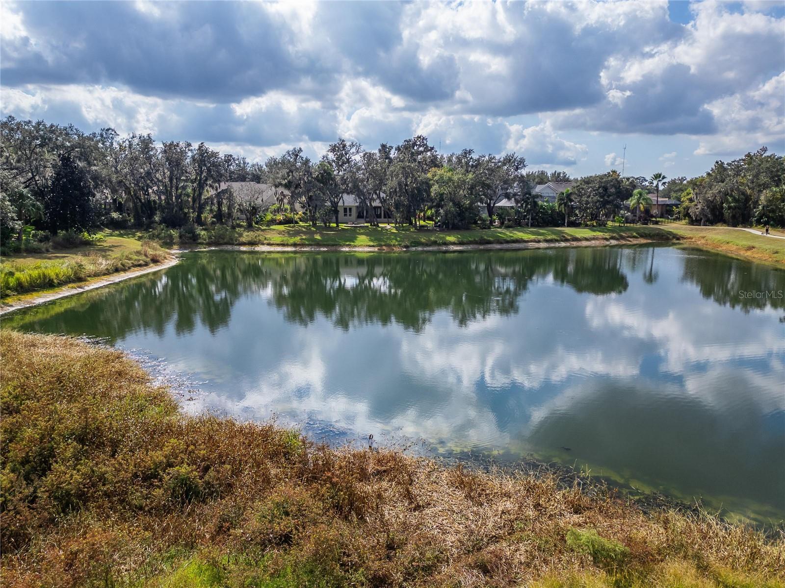 16022 TERNGLADE DR, LITHIA, FL, 33547