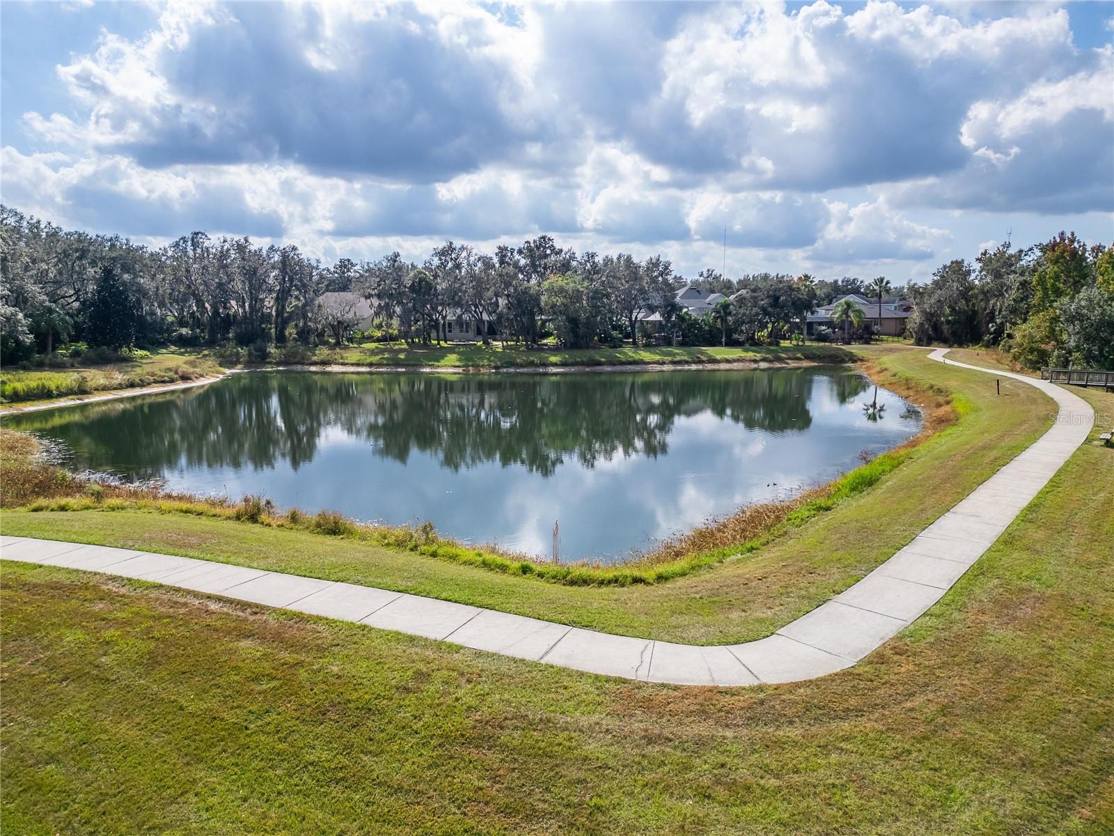 16022 TERNGLADE DR, LITHIA, FL, 33547