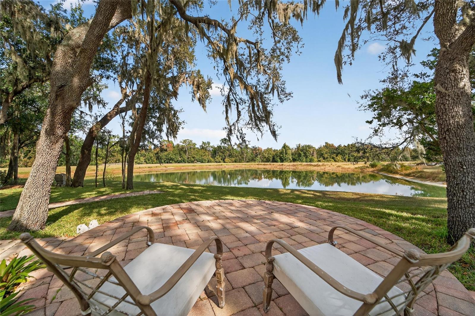 16022 TERNGLADE DR, LITHIA, FL, 33547