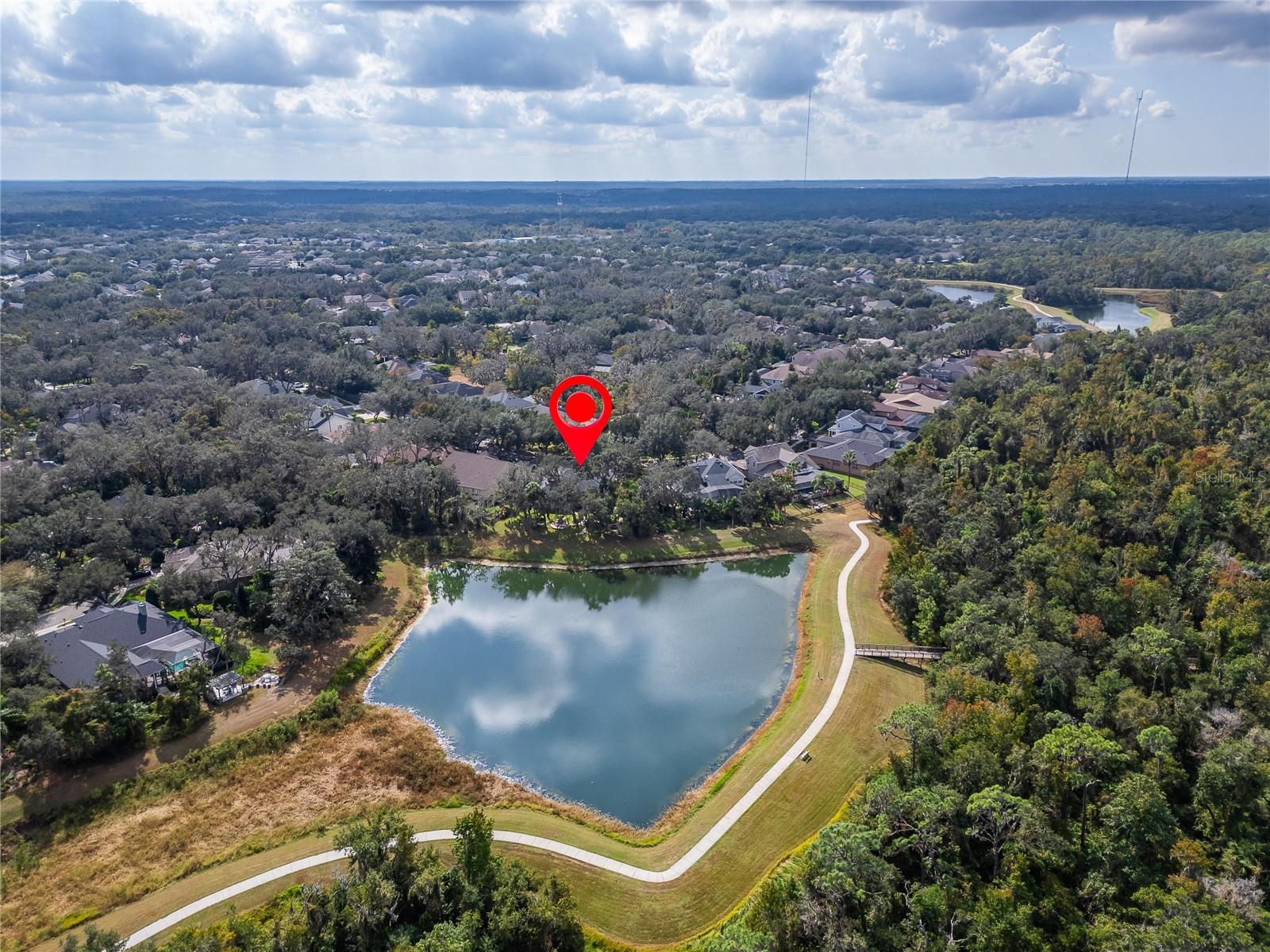 16022 TERNGLADE DR, LITHIA, FL, 33547
