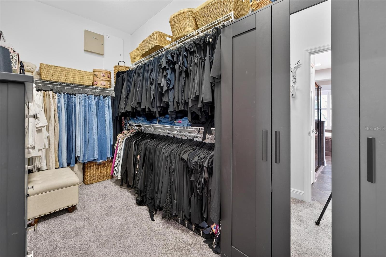 16022 TERNGLADE DR, LITHIA, FL, 33547