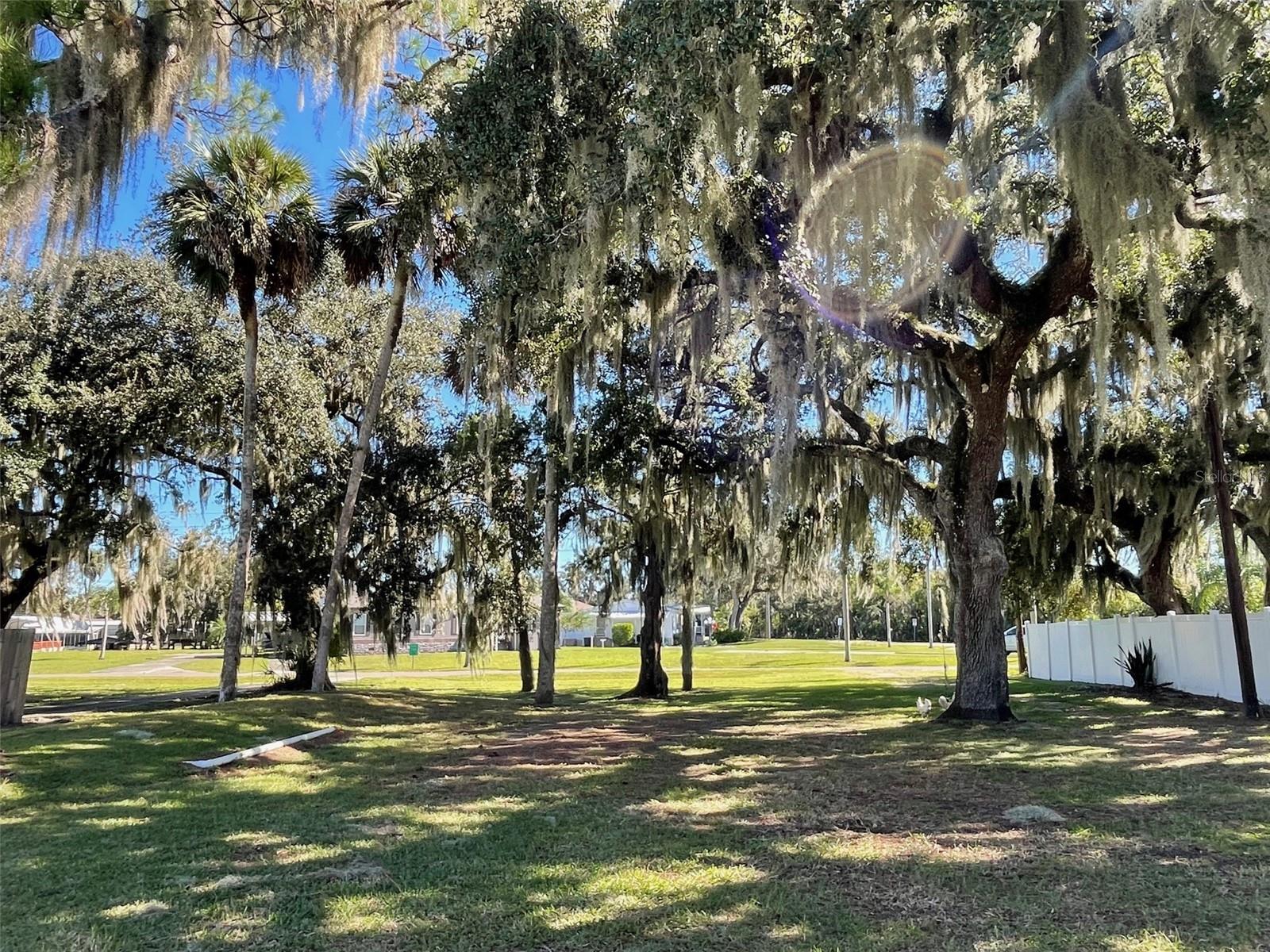 2064 SHADY LN., GENEVA, FL, 32732