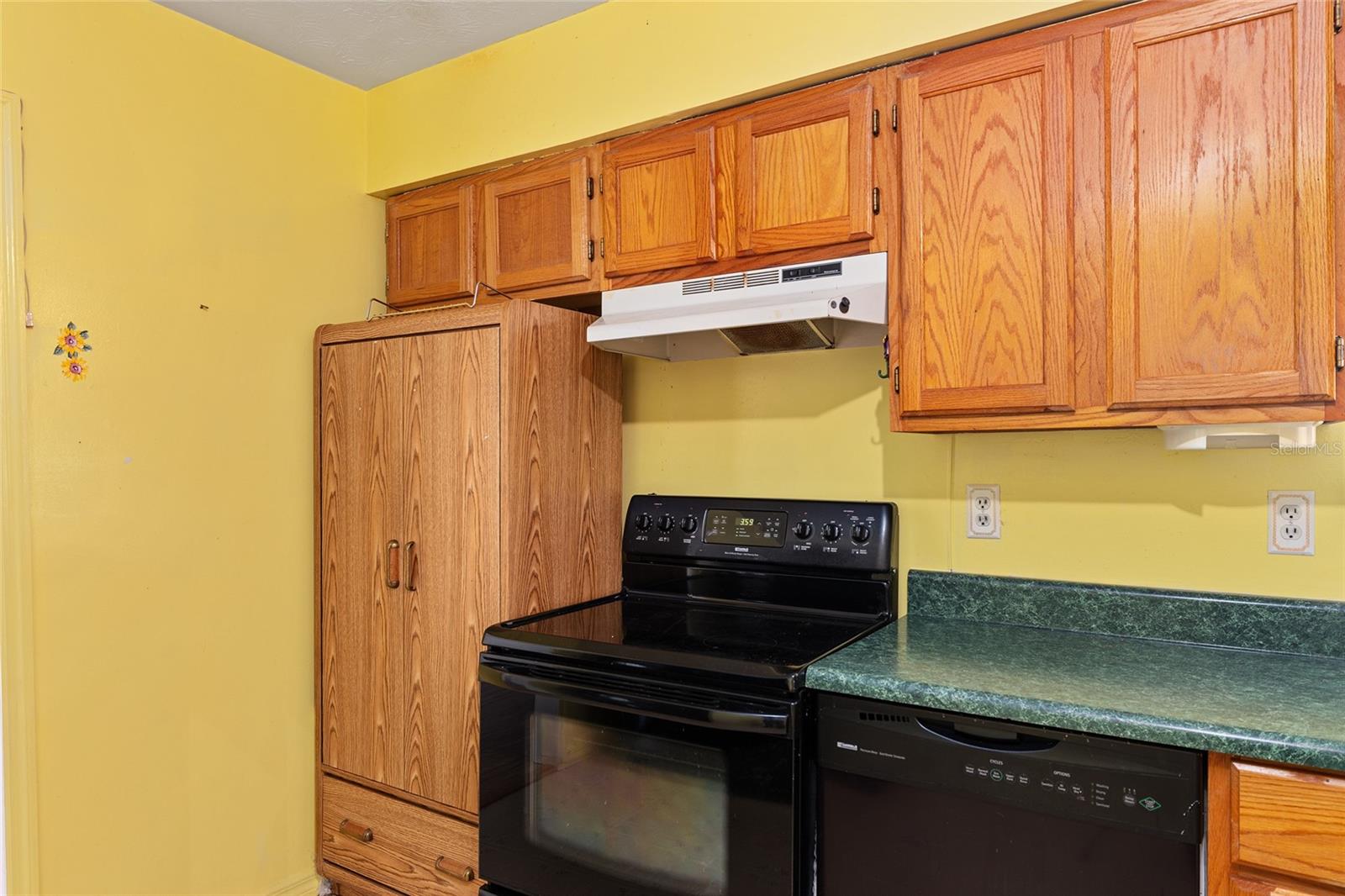 9235 SE 108TH PL, BELLEVIEW, FL, 34420