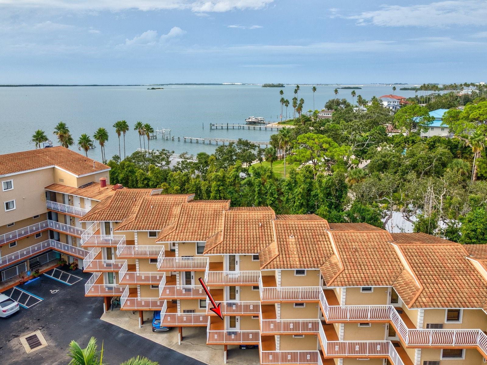 1420 BAYSHORE BLVD #208, DUNEDIN, FL, 34698