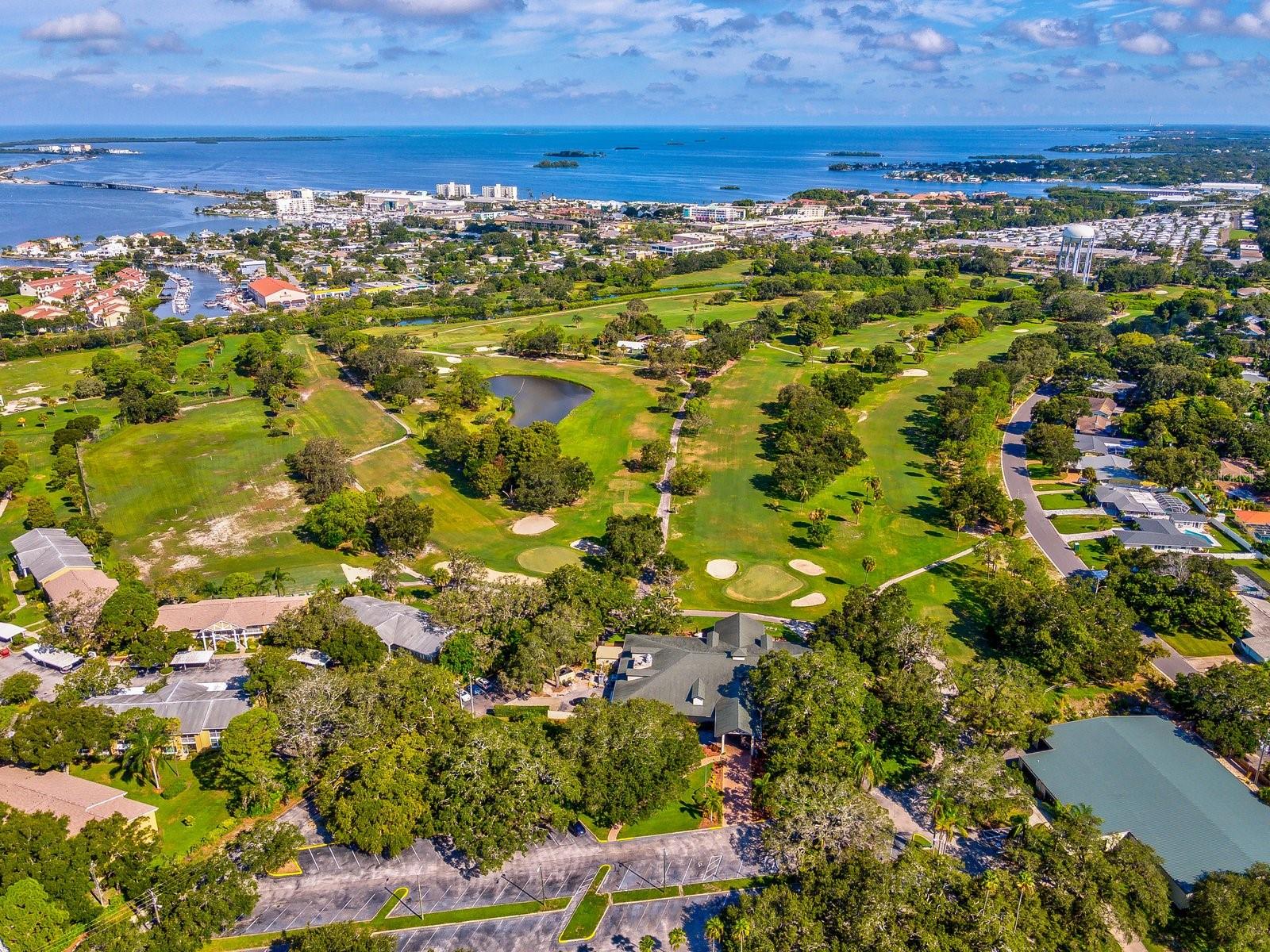 1420 BAYSHORE BLVD #208, DUNEDIN, FL, 34698