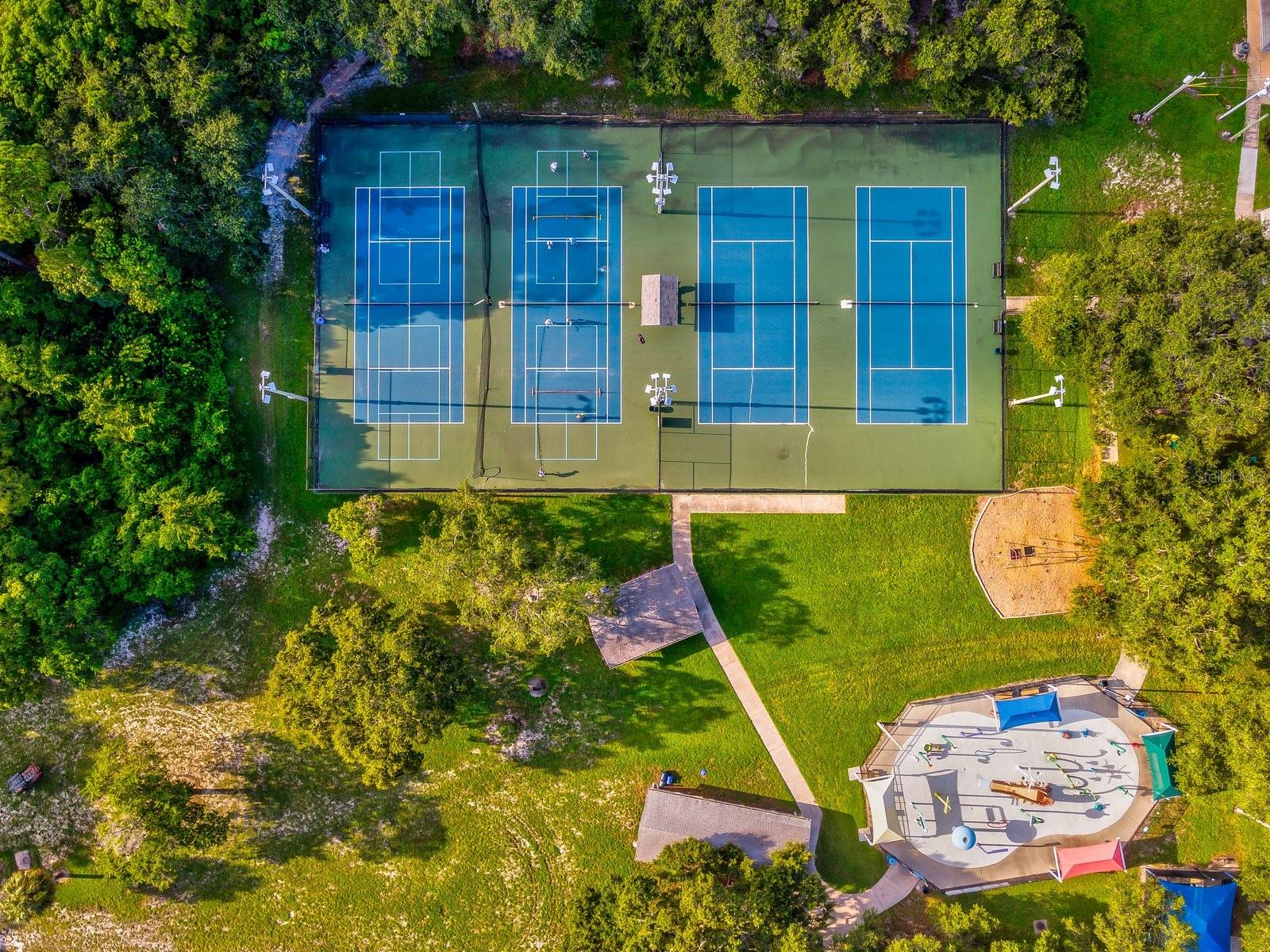 1420 BAYSHORE BLVD #208, DUNEDIN, FL, 34698