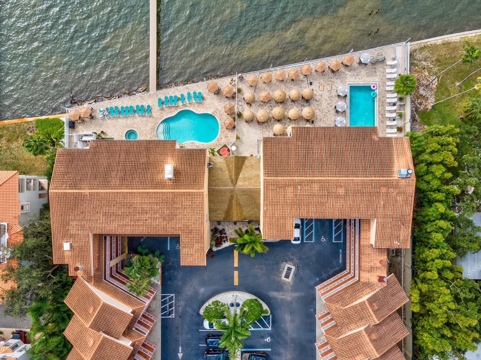 1420 BAYSHORE BLVD #208, DUNEDIN, FL, 34698