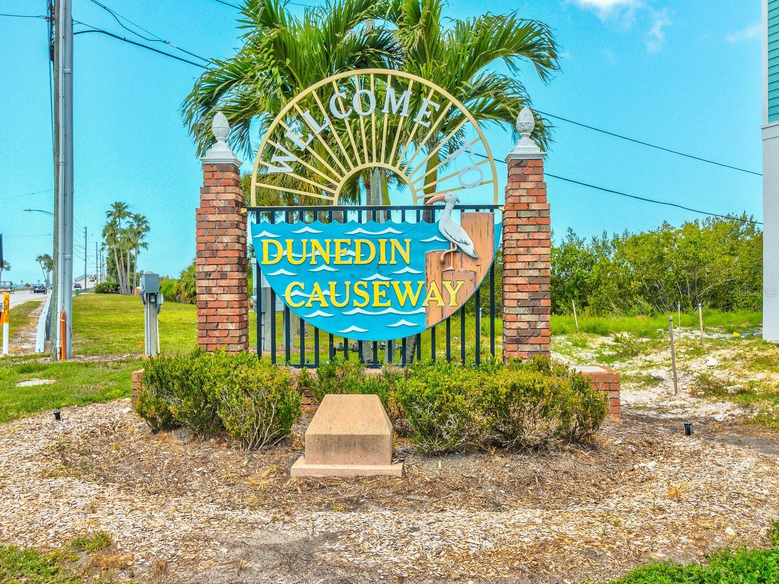 1420 BAYSHORE BLVD #208, DUNEDIN, FL, 34698