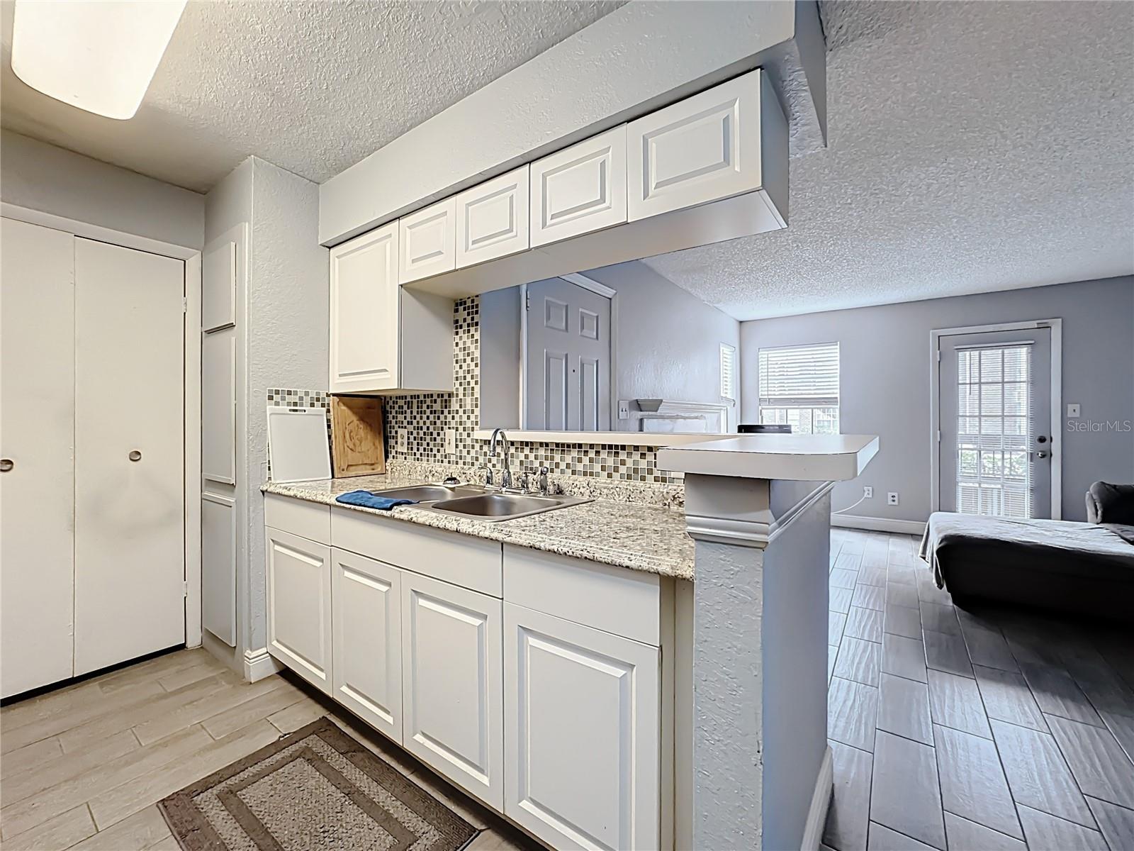 4401 THORNBRIAR LN #105, ORLANDO, FL, 32822