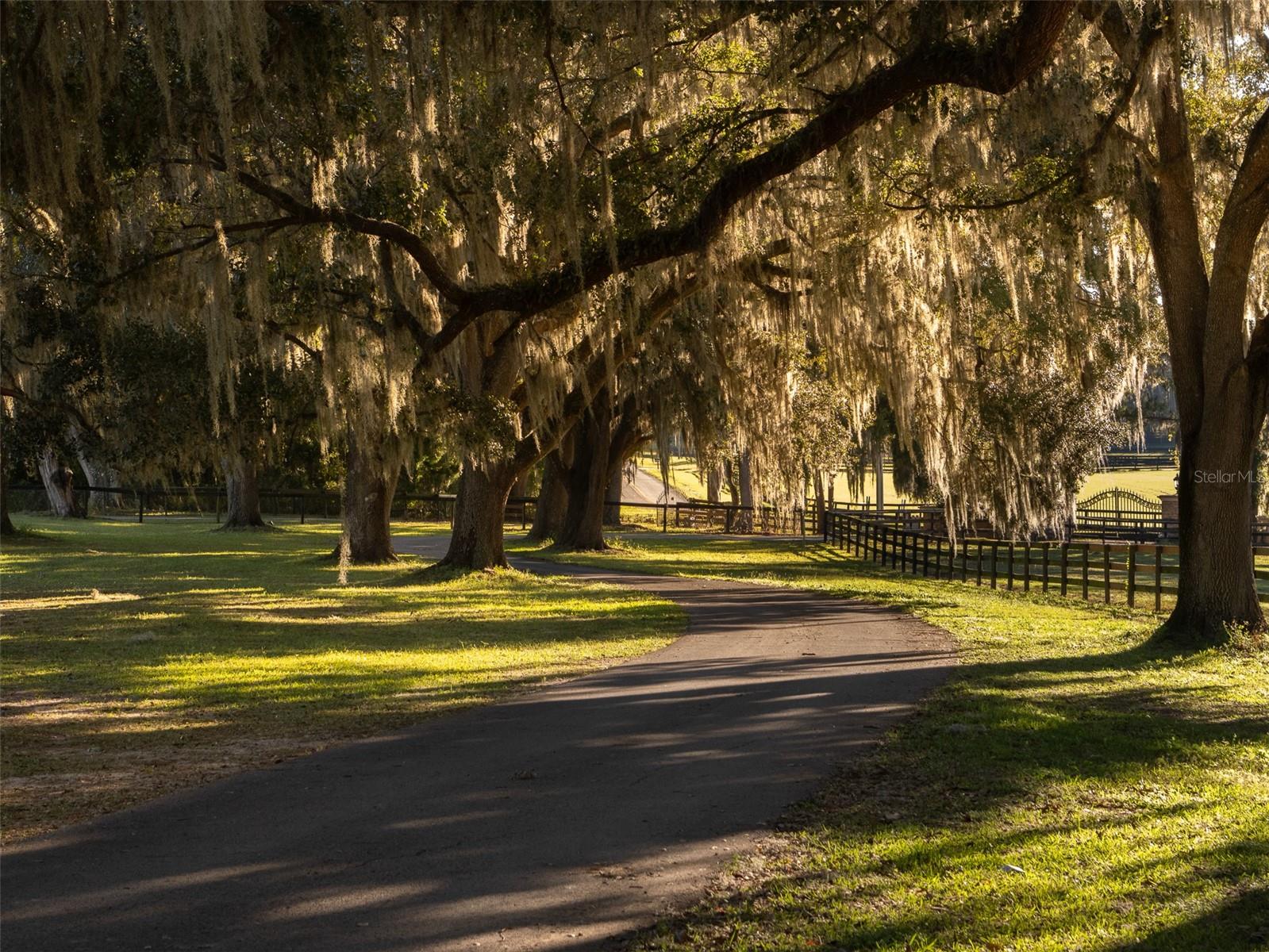 OM712677 Property Photo