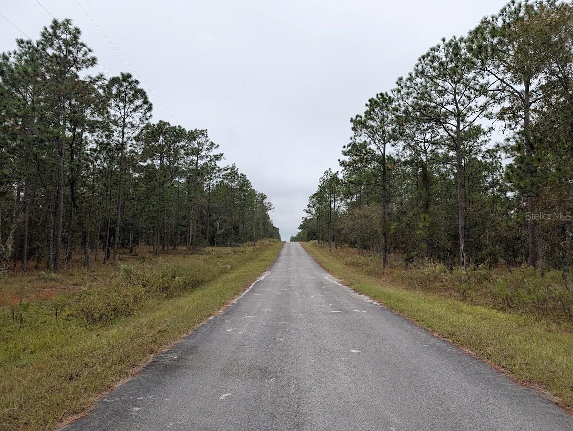 lot 13 NW GERANIUM AVE, DUNNELLON, FL, 34431