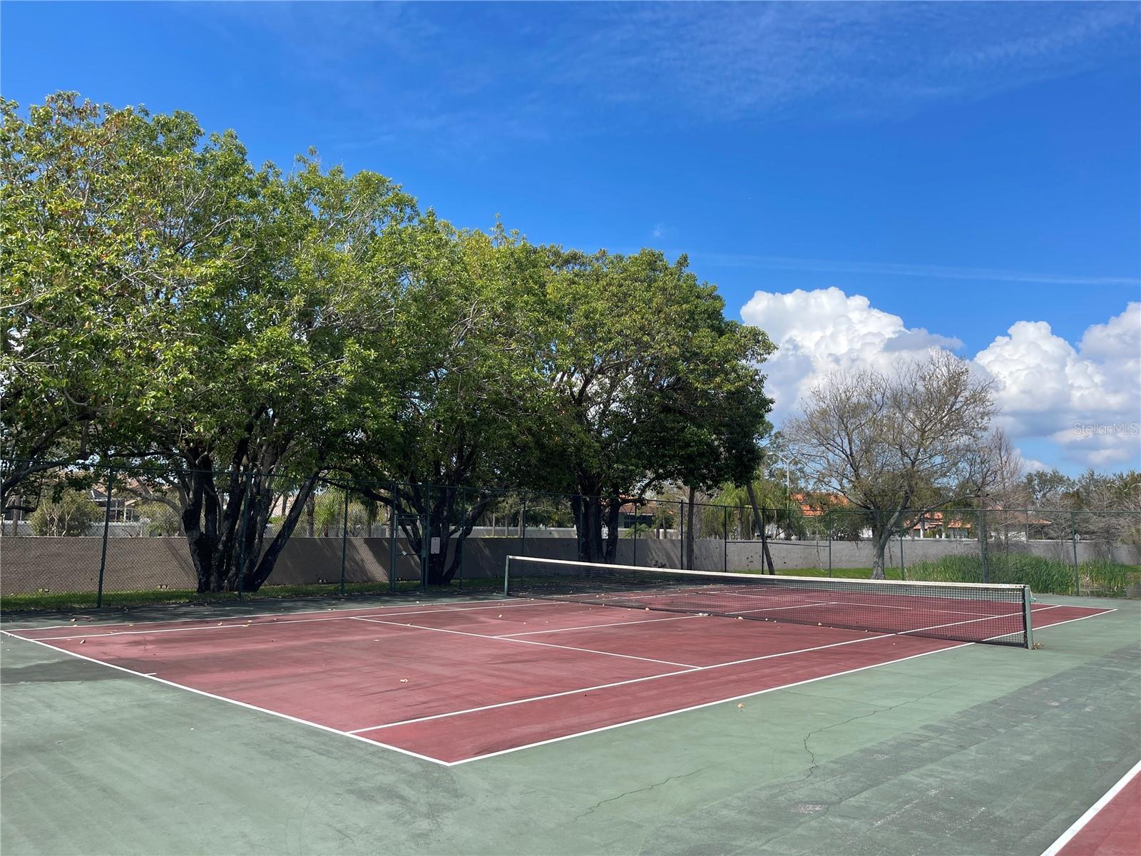 6338 BAYSIDE KEY DR, TAMPA, FL, 33615