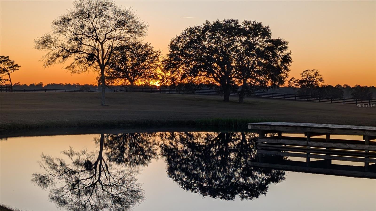 OM712721 Property Photo