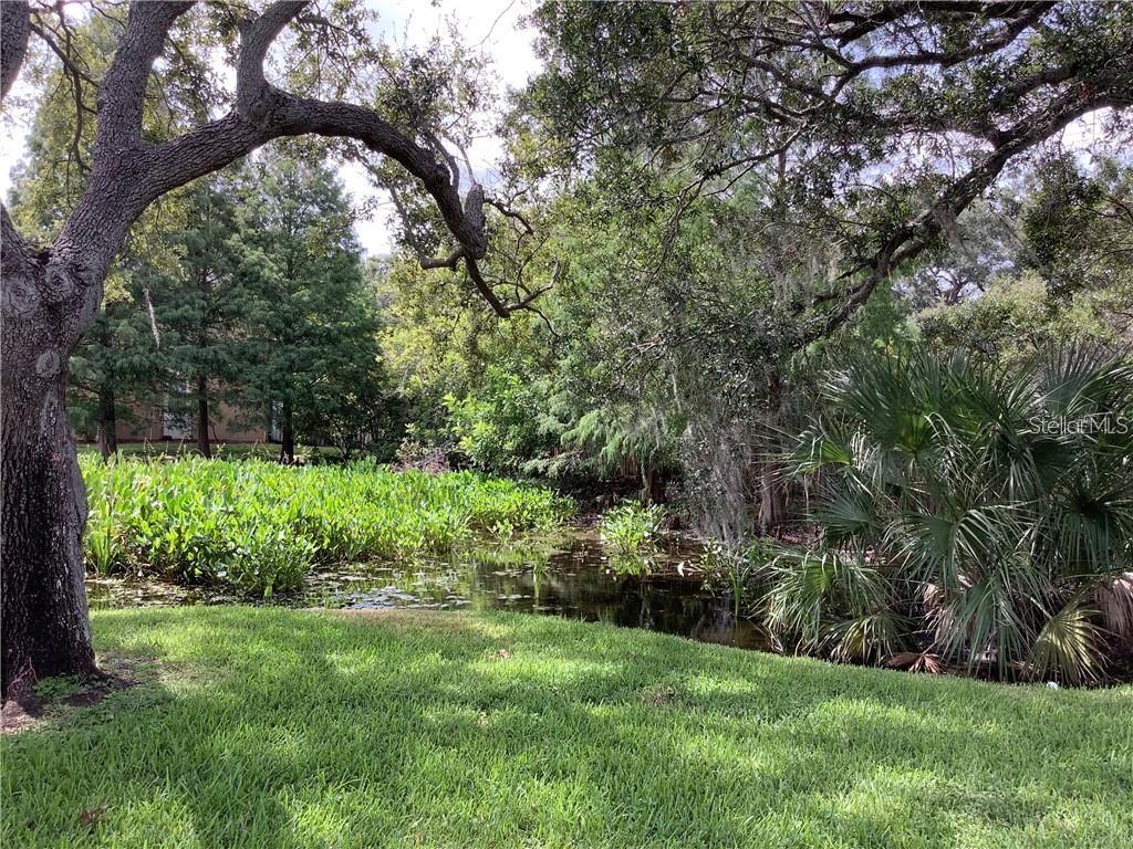 10155 SAILWINDS BLVD S #101, LARGO, FL, 33773