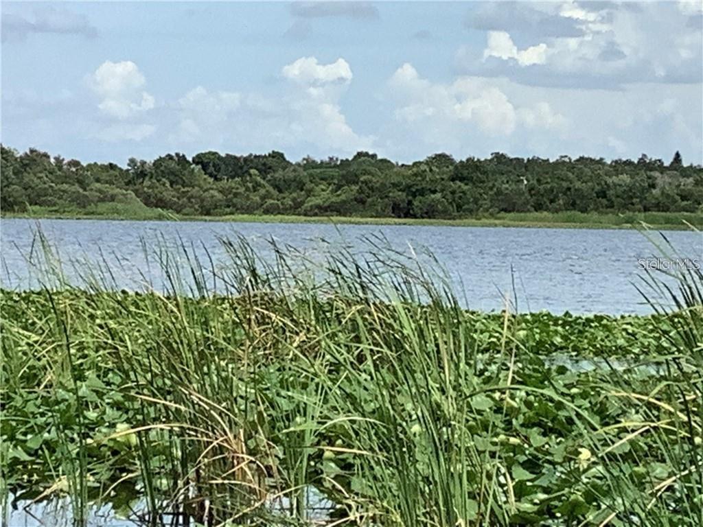 10155 SAILWINDS BLVD S #101, LARGO, FL, 33773