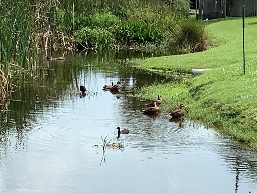 10155 SAILWINDS BLVD S #101, LARGO, FL, 33773