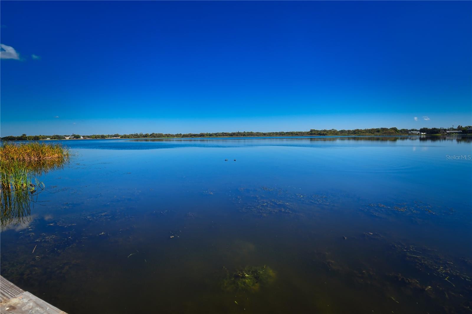 10155 SAILWINDS BLVD S #101, LARGO, FL, 33773