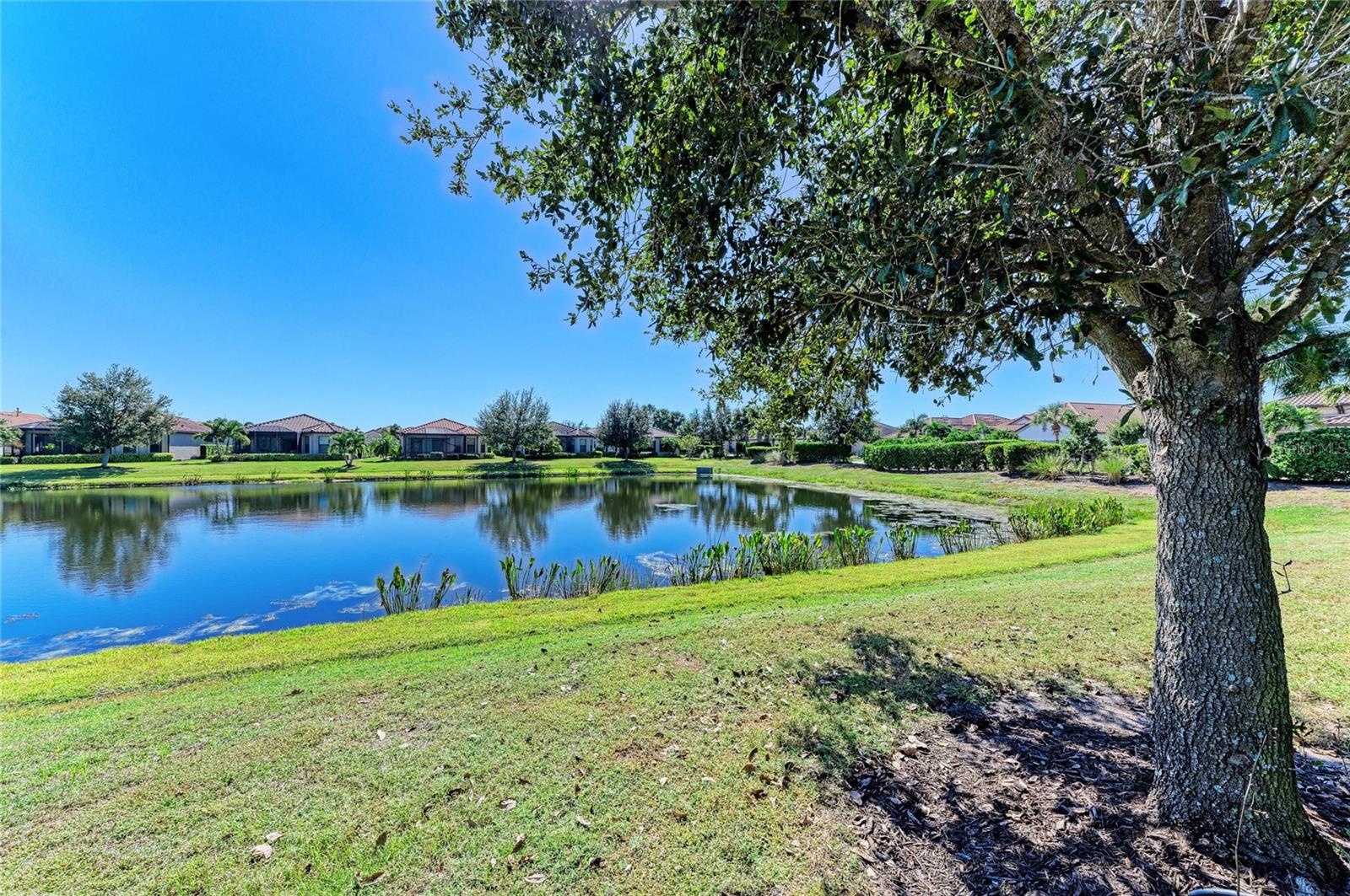 13108 TREVISO DR, BRADENTON, FL, 34211