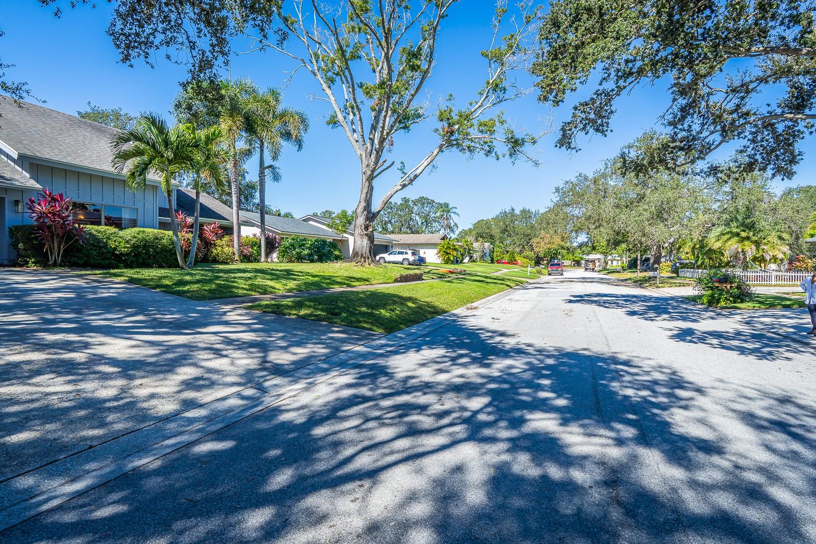 2558 KNOTTY PINE WAY, CLEARWATER, FL, 33761