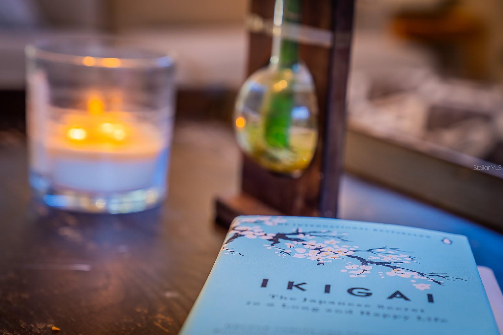 2558 KNOTTY PINE WAY, CLEARWATER, FL, 33761