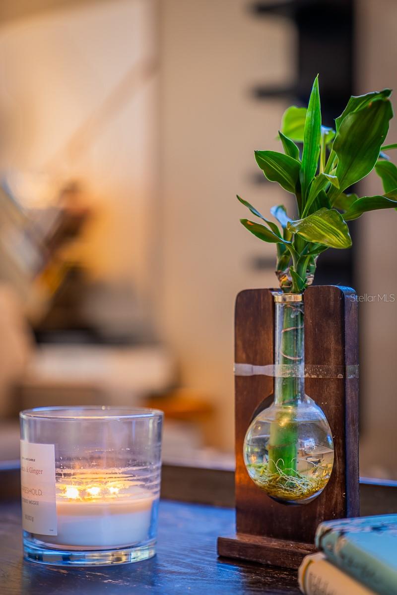 2558 KNOTTY PINE WAY, CLEARWATER, FL, 33761