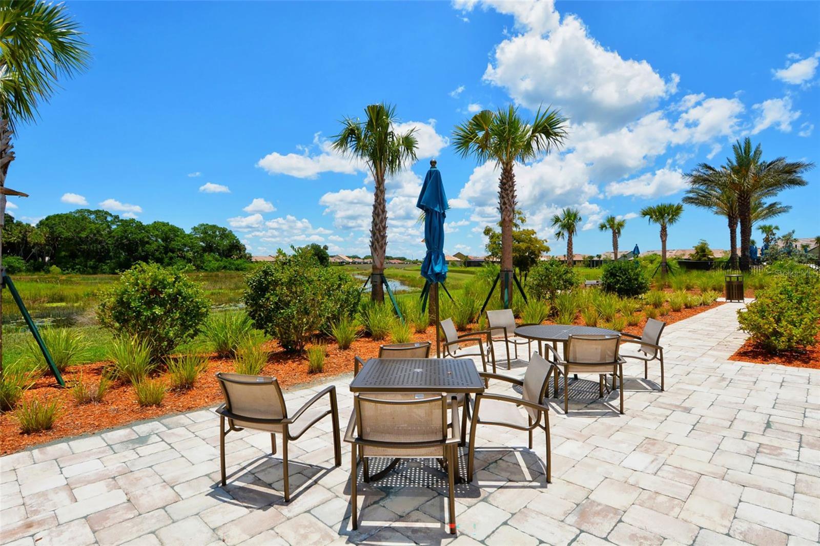 5341 SUNDEW DR, SARASOTA, FL, 34238