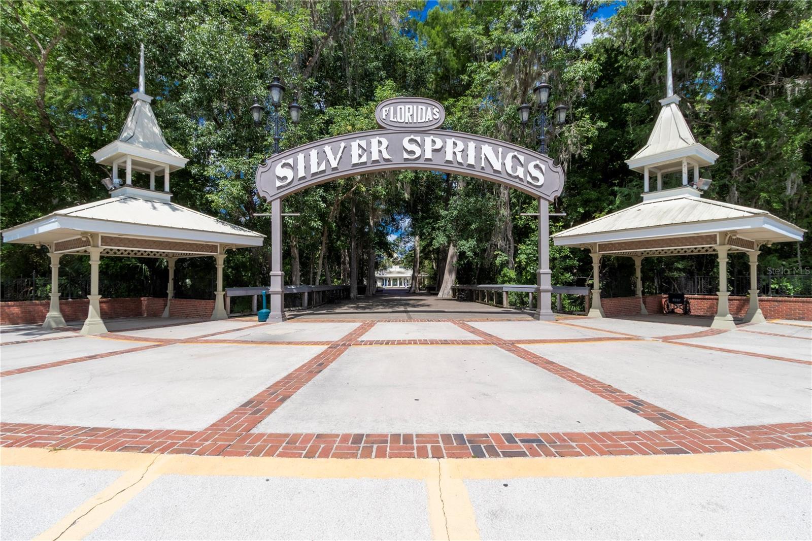 5860 SE 183RD TER, OCKLAWAHA, FL, 32179