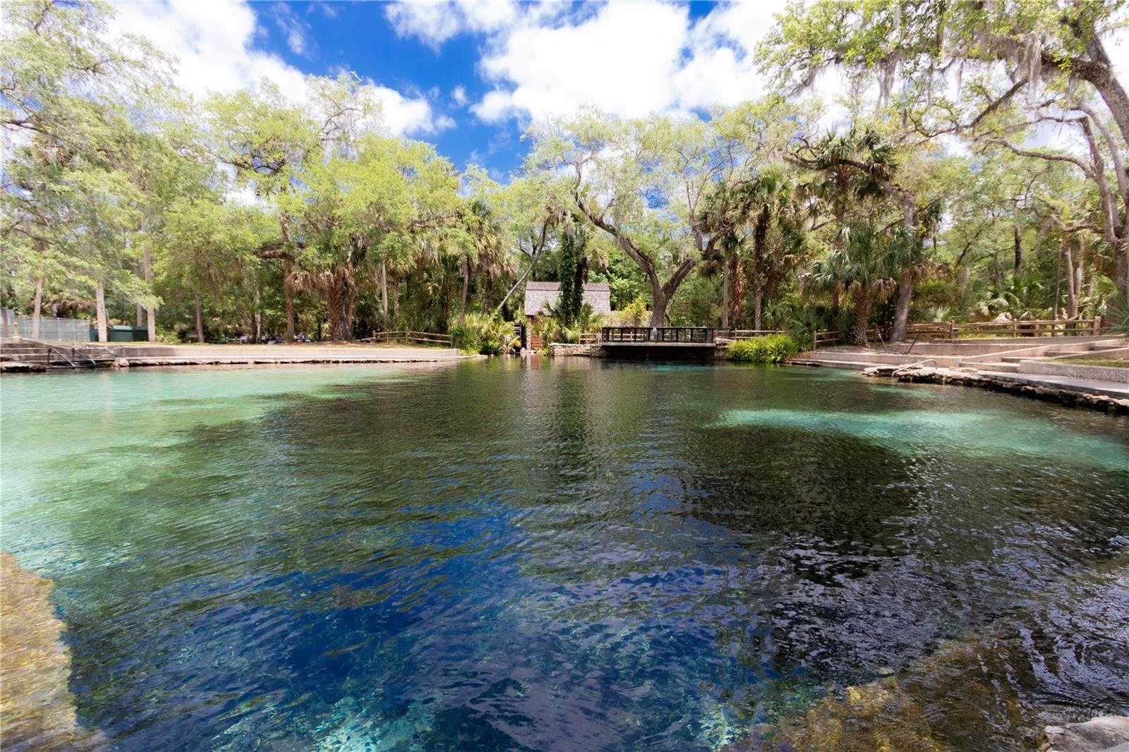 5860 SE 183RD TER, OCKLAWAHA, FL, 32179