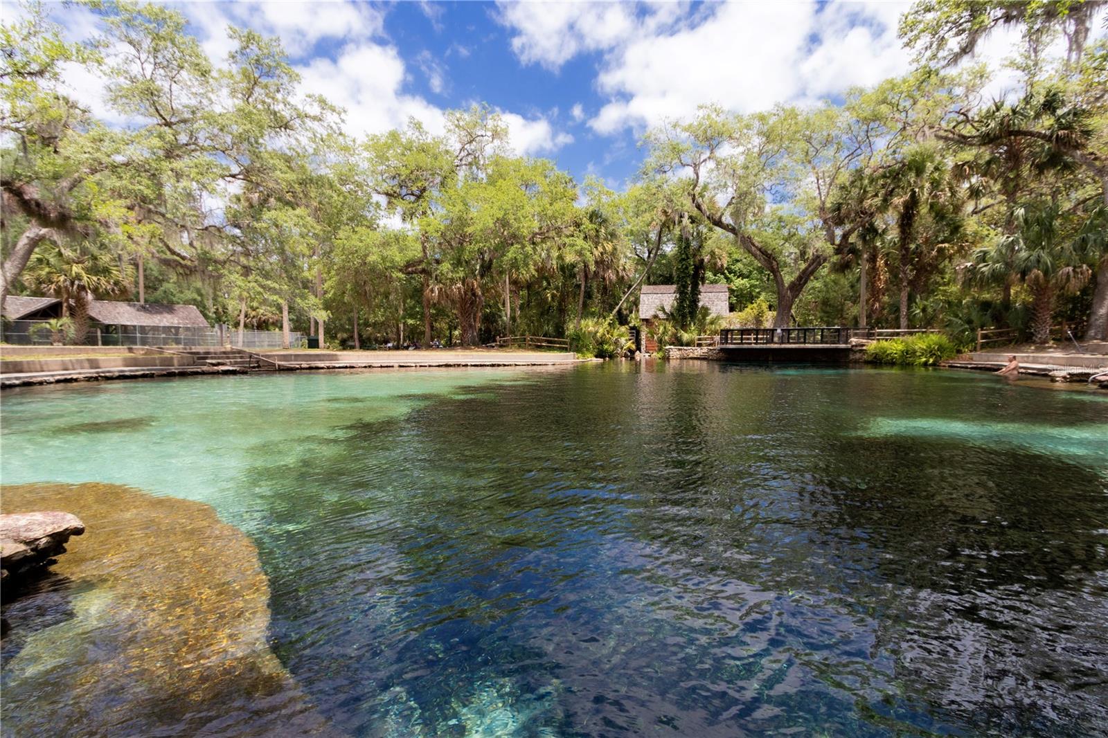 5860 SE 183RD TER, OCKLAWAHA, FL, 32179