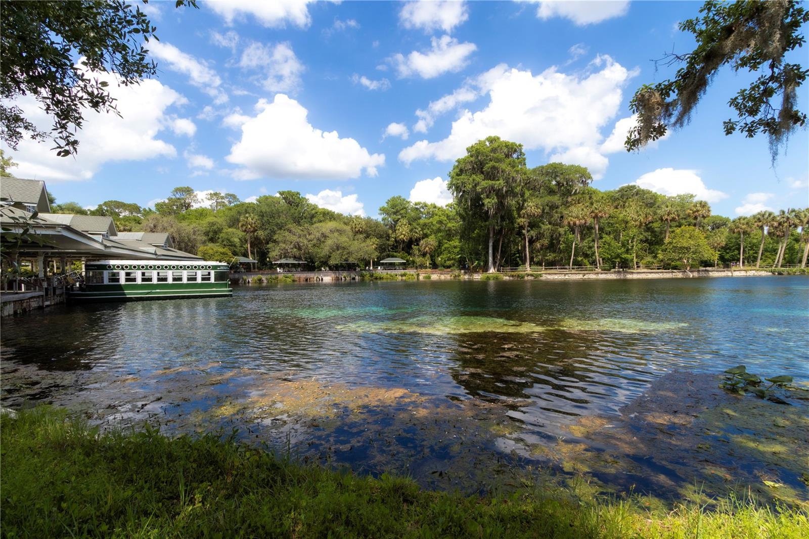 5860 SE 183RD TER, OCKLAWAHA, FL, 32179